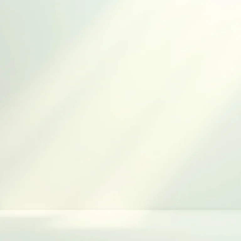 Infográfico explicativo sobre score de crédito