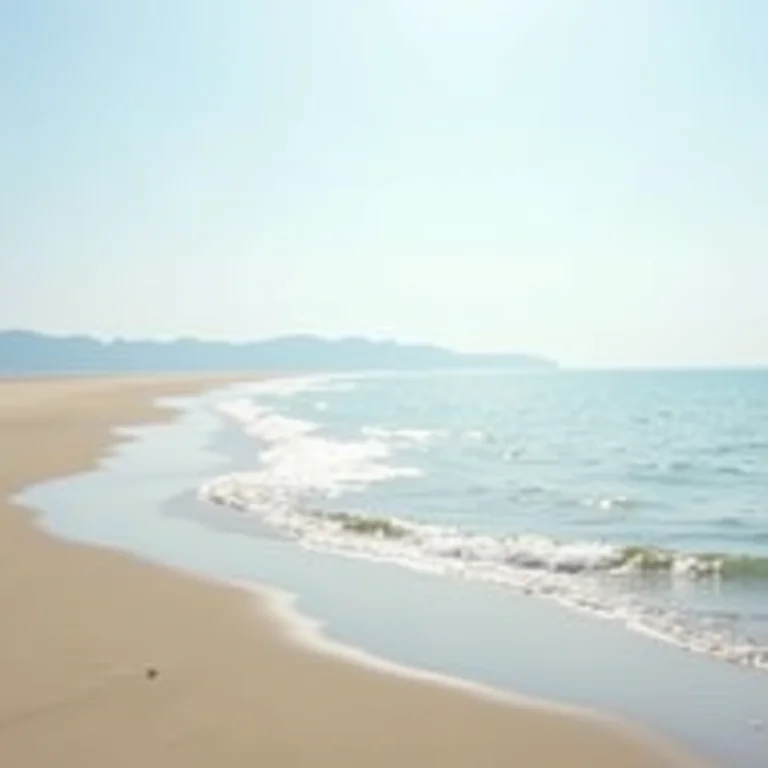 Banco de areia na Praia de Camboa