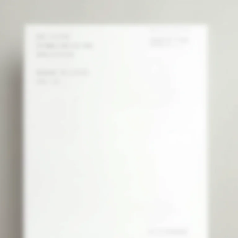 Layout minimalista de currículo com a seção de idiomas bem formatada