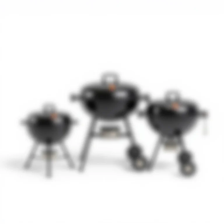 Seleção de diferentes churrasqueiras para varandas gourmet.